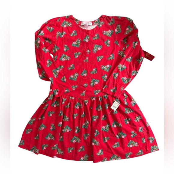 Christie Brooks Other - 🎅Christie Brooks Red/Green Girls Dress Sz(XL 16)